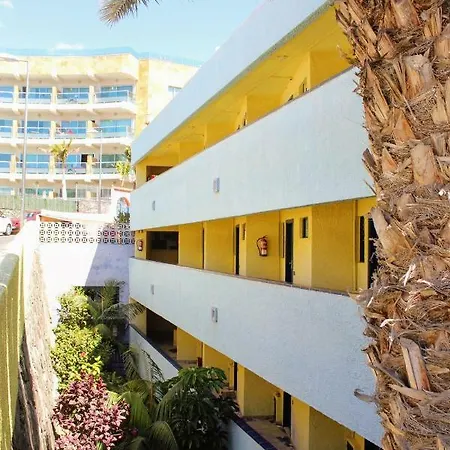 Bougainvillea Bamira